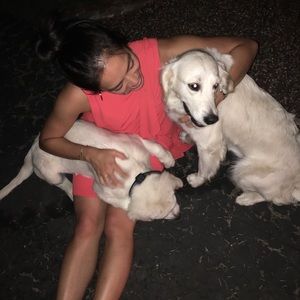 Meet your Posher, Susie